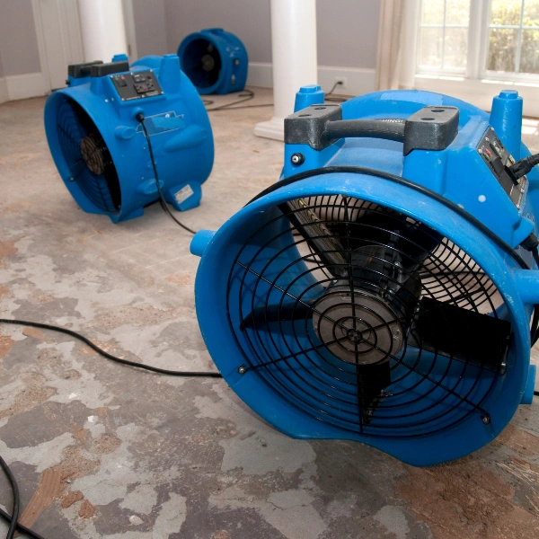 Water Damage Restoration Taylor TX