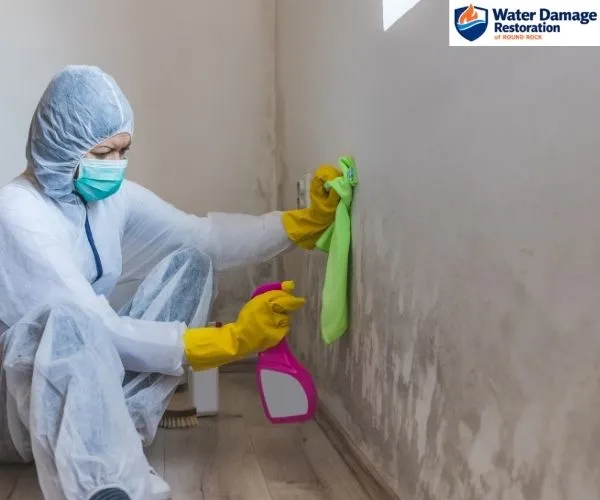 highlighting mold remediation services in Round Rock TX